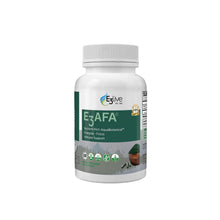 E3Live Original 16oz/473ml